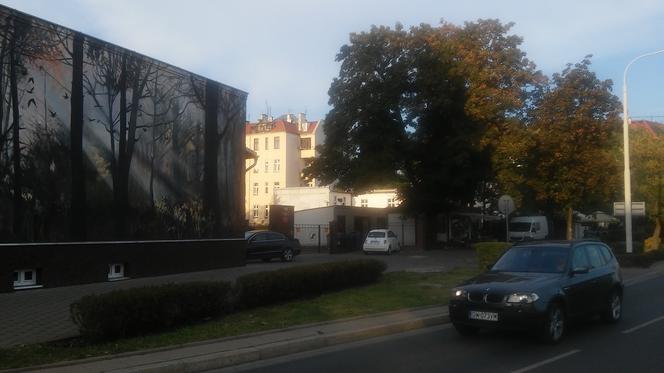 Leśny mural we Wrocławiu