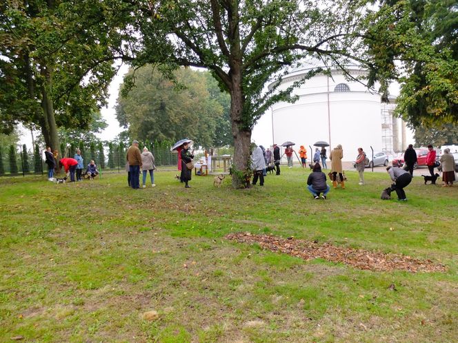 Z psem na mszę, czyli wyjątkowe nabożeństwo w Puławach. "To są nasi mniejsi bracia"