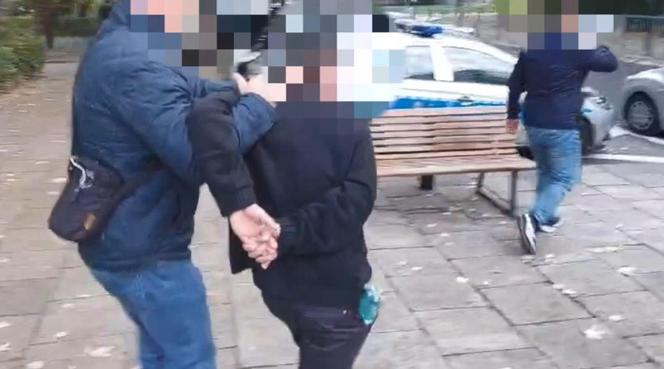 Udawał manekina na wystawie, by pod osłoną nocy plądrować sklepy