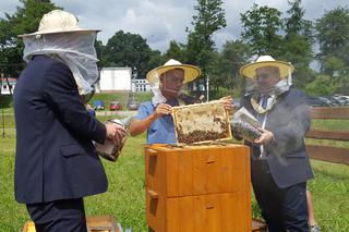 Już ponad pół miliona pszczół w miejskiej pasiece na Zwięczycy! Za nami pierwsze miodobrania