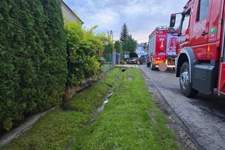 Policjanci wyrozumiali dla niedoświadczonej kierującej