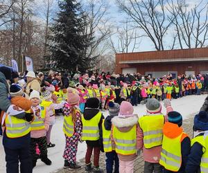 Ubieranie miejskiej choinki w Lesznie