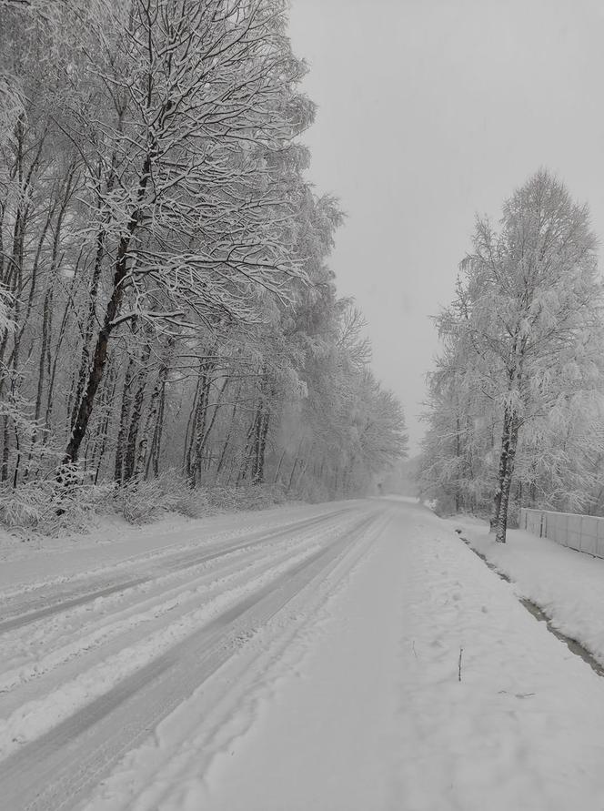 Opady śniegu PARALIŻUJĄ drogi. DRAMAT na drogach Podkarpacia [ZDJĘCIA INTERNAUTÓW]