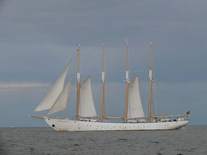 ParadaZagleGdyni2014_FotMZwierz_710321