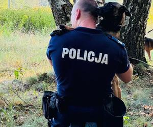 Trawka - nowy pies suwalskiej Policji