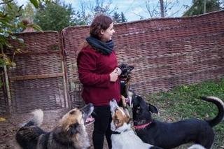 Obdarowali psiaki na dzień kundelka