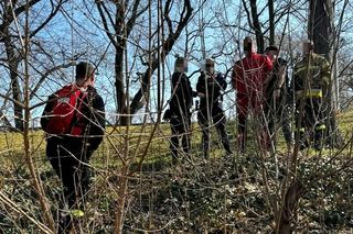 Na miejsce wezwano służby 