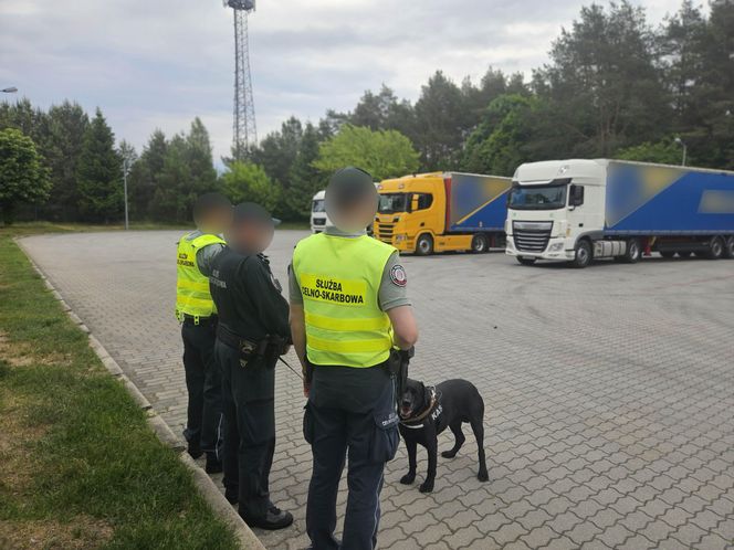 Gigantyczny przemyt kokainy