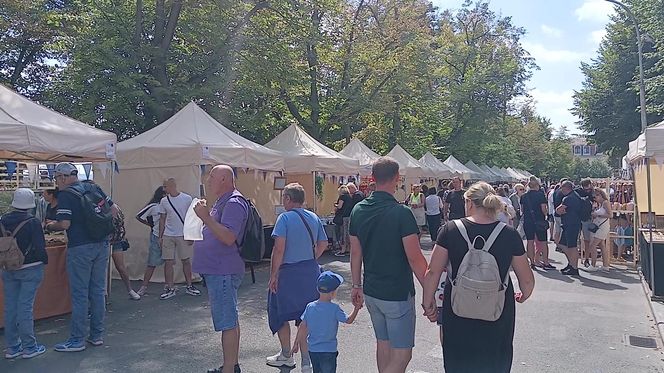 Żagle 2025 w Szczecinie