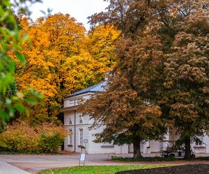 Łazienki Królewskie w Warszawie jesienią