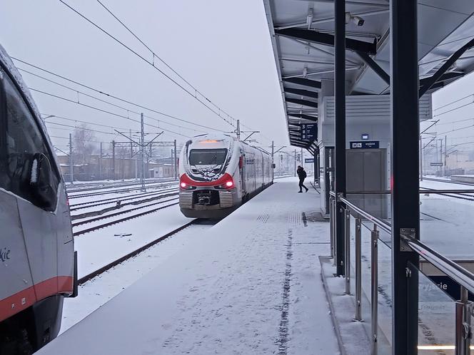 Zima w Świętokrzyskiem. Skarżysko-Kamienna w białym puchu. Zobacz zdjęcia