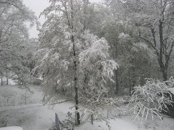 Zima w maju 2011 - zdjęcia Czytelników (Karpacz) 