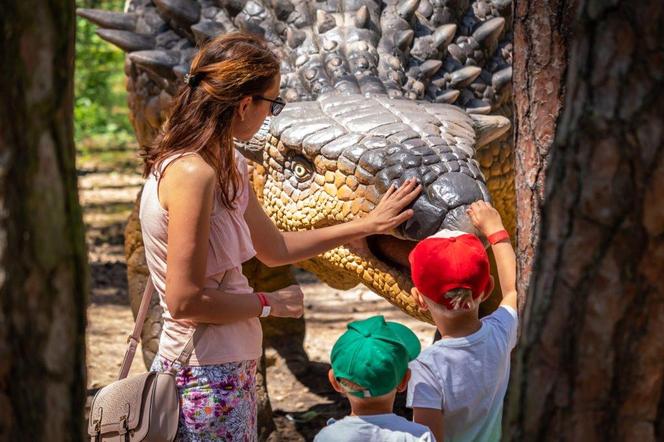 Wyjątkowa okazja do zabawy dla fanów dinozaurów. W Solcu Kujawskim zapowiada się wielkie świętowanie