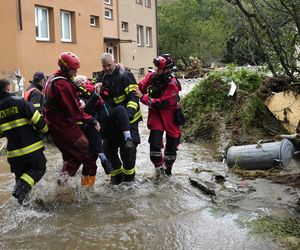 Burmistrz wyjechała na drogie wakacje, w tym czasie jej miasteczko zalała wielka fala. Nie wrócę