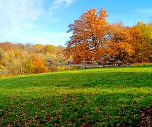 Renowacja Ognistych Ptaków dobiega końca