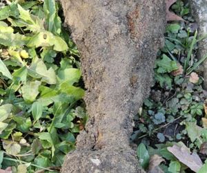 Groźny niewybuch w centrum Tuchowa. Na miejce wezwano saperów