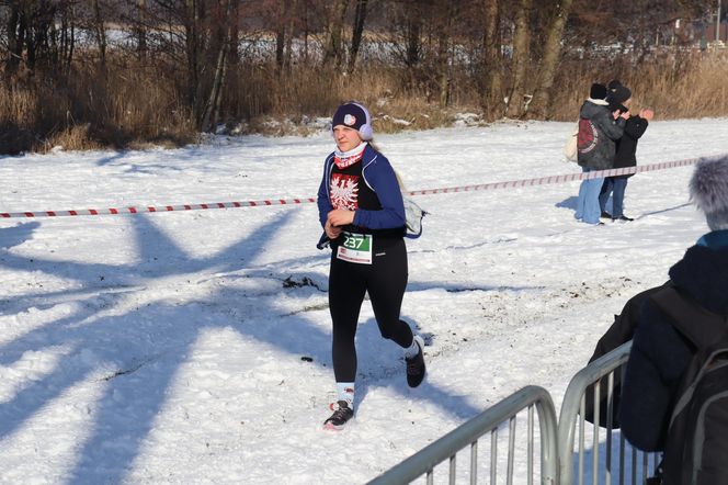 Bieg Zwycięskiego Powstania Wielkopolskiego nad Strzeszynkiem