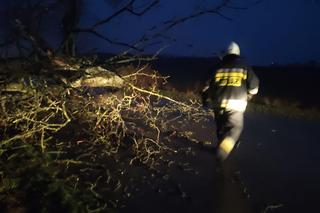 Niż Niklas w Zachodniopomorskiem 