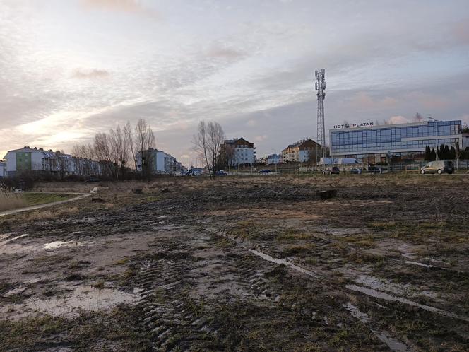 Wycinka drzew pod kolejne bloki. Mieszkańcy pozostaną bez miejsca do wypoczynku?