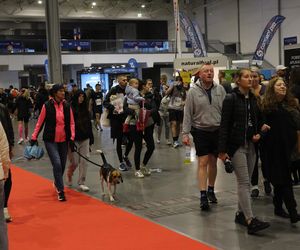 Poznań Run Expo 