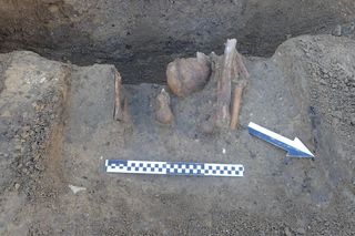 Ludzkie szczątki przy wydziale UAM