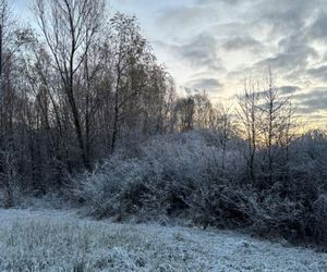 Atak zimy. Sypnęło śniegiem w całej Polsce