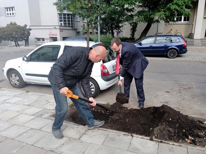  Kolejne drzewa wCOPane w Katowicach! [ZDJĘCIA, WIDEO]