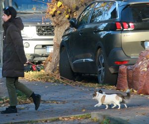 Marta Kaczyńska inwestuje w edukację synka
