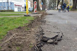 Będzie węziej, ale równiej na Sułkowskiego w Lesznie