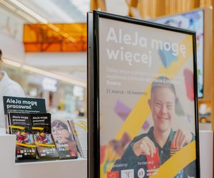 Wrocławianie zebrali ponad 13 000 pojedynczych skarpetek - zobacz, co z nich stworzą