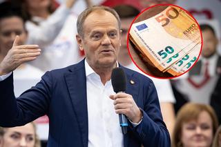 Euro w Polsce. Donald Tusk już wie, co robić!