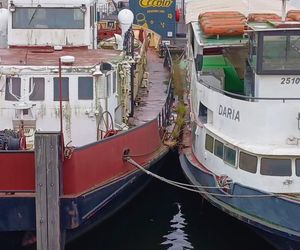 Statki-widmo na Odrze straszą od lat. Nie ma mocnych na rdzewiejące wraki?