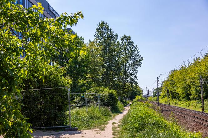 Budowa parku linearnego przy ul. Suwak w Warszawie