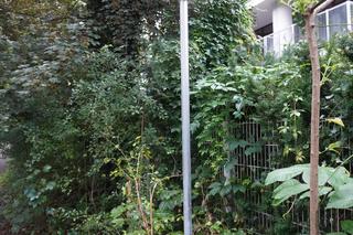 Najkrótsza ścieżka rowerowa w Warszawie.