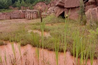 Kamieniołom Kopulak w Suchedniowie