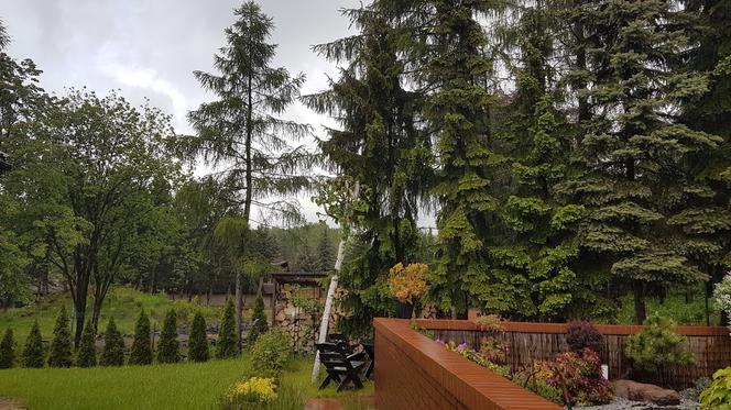  Katowice. Kolejne osiedle zamiast zieleni. Wytną drzewa! Mieszkańcy są OBURZENI! 