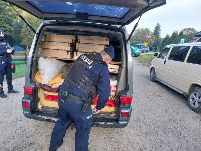 Najazd rumuńskich grzybiarzy na Podkarpaciu