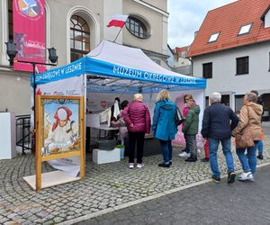 Od wystawy o bieliźniarce, przez komiks po żużel