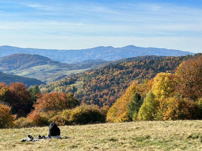 Małopolskie pasmo górskie zachwyca jesiennym pięknem. Ukryta perełka z widokiem na tatry 