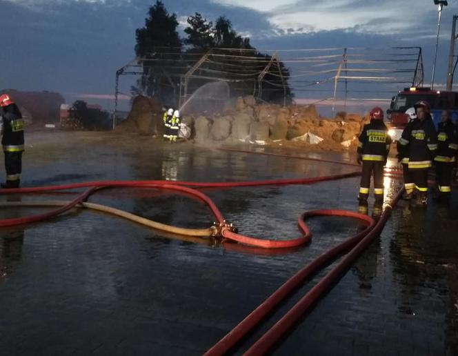 Pożar w zakładzie utylizacji odpadów pochodzenia zwierzęcego