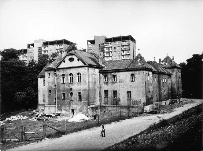 To najdziwniejszy zamek w woj. śląskim według AI. Jest w Sosnowcu