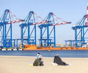 Siedem olbrzymich suwnic stoi już w Baltic Hub. Można je podziwiać z plaży na Stogach