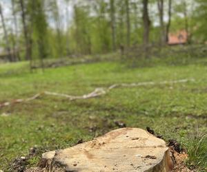 Miesiąc po wichurze, odwiedziliśmy miejsce tragedii w Rabce-Zdroju. Oto, co zobaczyliśmy