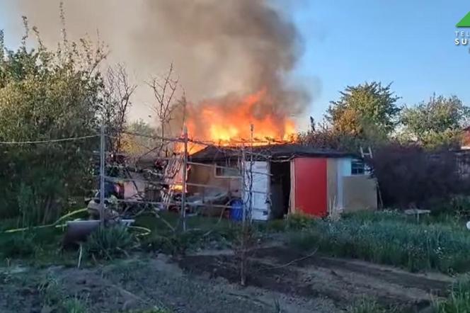 Pożar ogrodów działkowych w Dzierżoniowie. Zobacz nagrania z interwencji strażaków