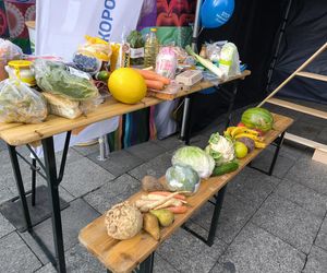 Stop marnowaniu żywności w Lesznie