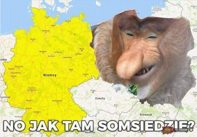 Dawid Kubackim królem Titisee-Neustad [MEMY]