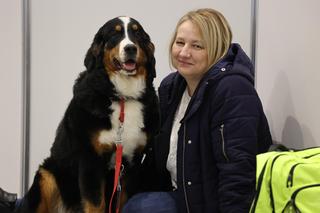 Tu królują psiaki! Mamy zdjęcia z Międzynarodowej Wystawy Psów Rasowych 2023 w Lublinie