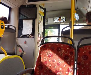 Dzisiaj pojedziemy autobusem za darmo.  Tak jest w calej Polsce