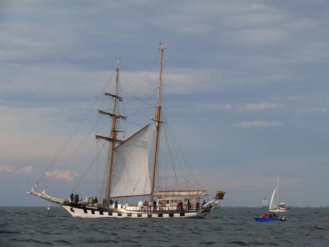 ParadaZagleGdyni2014_FotMZwierz_710355