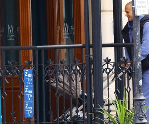 Karolina Gilon i syn. Ma kilka tygodni i juz jest gwiazdą